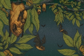 realistic illustration of bats roosting in a tree at night